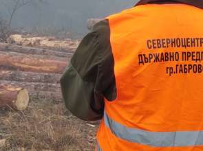 3 319 проверки в горите на Централна Северна България през ноември
