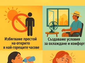 Предпазване от вредите на летните горещини