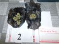 DSCN8078-scaled.jpg