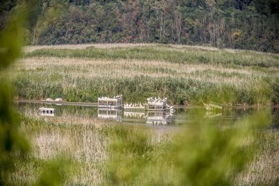Srebarna_17_07_2025_02.jpg