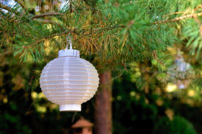 lampion-g512999b4b_1920.jpg