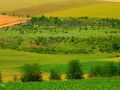 pole-vreme-4.jpg