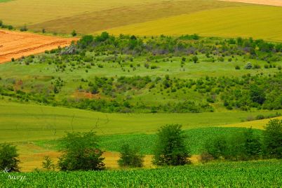 pole-vreme-4.jpg