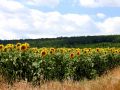 slanchogled-vreme-3.jpg