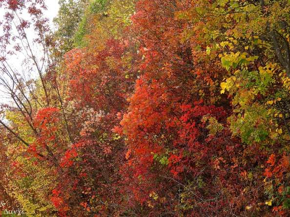 Спокойно и предимно слънчево време в Силистра и региона
