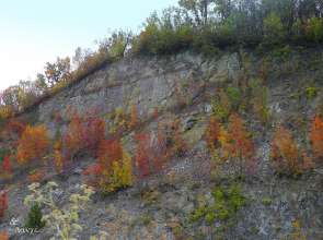 Спокойна и слънчева събота в Силистра и областта