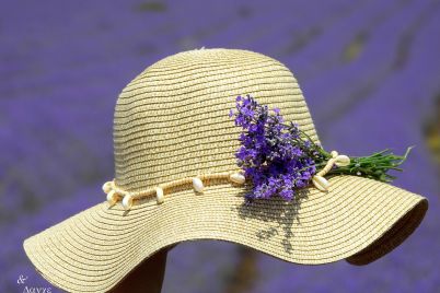 vreme-lavandula.jpg